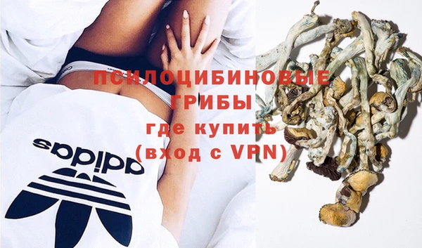 apvp Зерноград