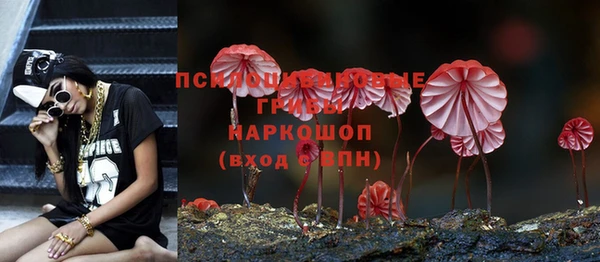 герыч Зеленокумск
