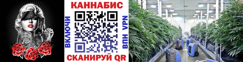 Шишки марихуана LSD WEED  Купить где  Котовск 